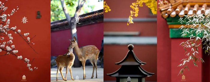 文章附图