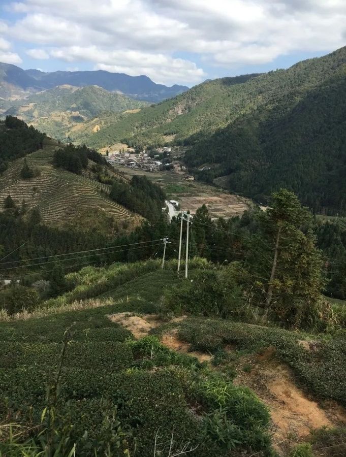 艺术家陈春木家乡的茶山.jpg
